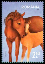 Horses. Postage stamps of Romania.