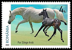 Horse breeds. Postage stamps of Romania.