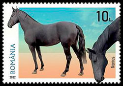 Породы лошадей. Почтовые марки Румыния 2022-08-09 12:00:00