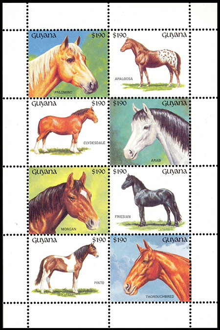 Породы лошадей. Хронологический каталог.
