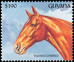 Horse breeds. Postage stamps of Guyana.