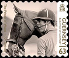 70-лет принцу Уэльскому. Почтовые марки Гернси