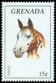 Horses and donkeys. Chronological catalogs.