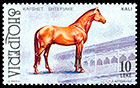 Домашние животные. Почтовые марки Албании
