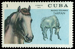 Породы лошадей. Почтовые марки Кубы.