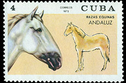 Породы лошадей. Почтовые марки Кубы.