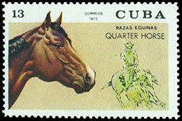 Horse breeds. Postage stamps of Cuba.