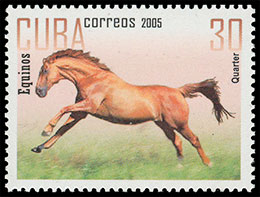 Horses. Postage stamps of Cuba 2005-10-21 12:00:00