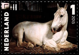 Шарлотта Дюма. Портреты животных. Почтовые марки Нидерландов.