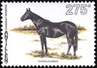 Horses. Postage stamps of Netherlands Antilles