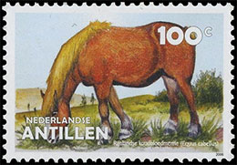 Donkeys, Horses and Mules. Chronological catalogs.