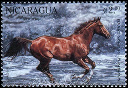 Horses. Postage stamps of Nicaragua.