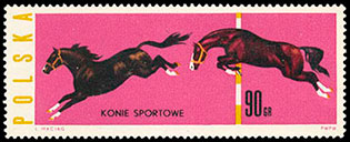 Horse breeds . Postage stamps of Poland 1963-12-31 12:00:00