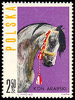 Horse breeds . Postage stamps of Poland