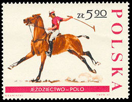 Equestrian sport. Chronological catalogs.