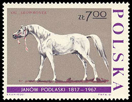 Equestrian sport. Postage stamps of Poland.