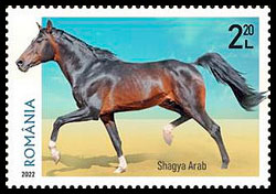 Породы лошадей. Почтовые марки Румынии.