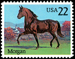 Horses. Postage stamps of USA.