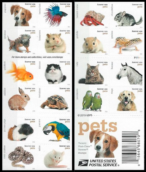 Pets. Chronological catalogs.