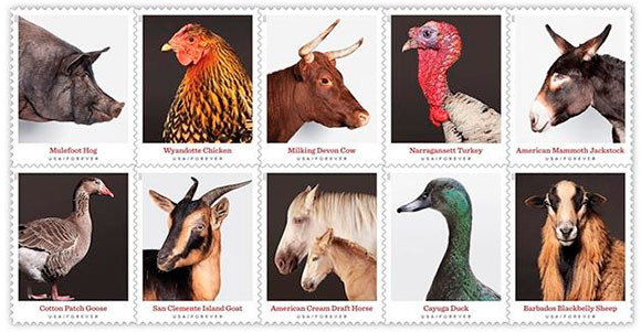 Heritage breeds. Postage stamps of USA.