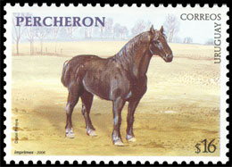 Horse breeds. Chronological catalogs.