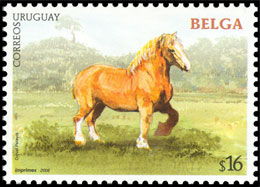 Horse breeds. Chronological catalogs.