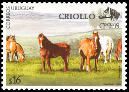 Horse breeds. Chronological catalogs.