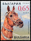 Akhal-Teke horses. Postage stamps of Bulgaria