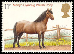 Породы лошадей. К 100-летию Общества шайрских лошадей. Почтовые марки Великобритания 1978-07-05 12:00:00