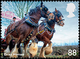 Рабочие лошади. Почтовые марки Великобритании.