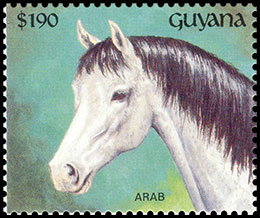 Horse breeds. Postage stamps of Guyana 1992-08-10 12:00:00