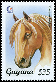 Международная филателистическая выставка "SINGAPORE'95". Лошади (III). Почтовые марки Гайана 1995-06-11 12:00:00