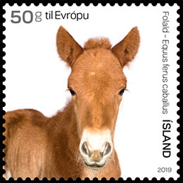 Детеныши домашних животных. Почтовые марки Исландии.