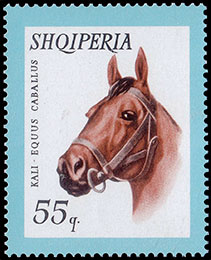 Domestic Animals . Postage stamps of Albania.