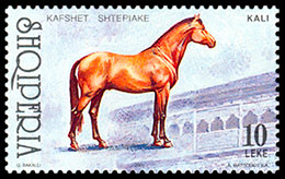 Домашние животные. Почтовые марки Албании.