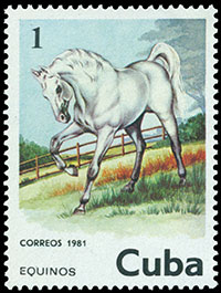 Horses. Postage stamps of Cuba 1981-09-15 12:00:00