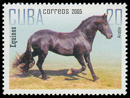 Horses. Postage stamps of Cuba.