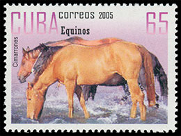 Horses. Postage stamps of Cuba 2005-10-21 12:00:00