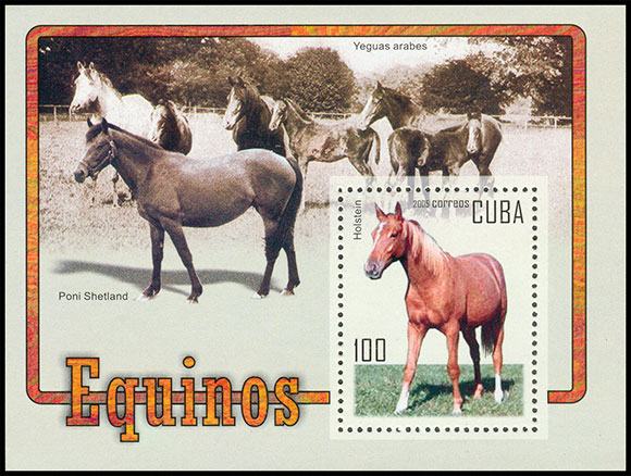 Horses. Chronological catalogs.