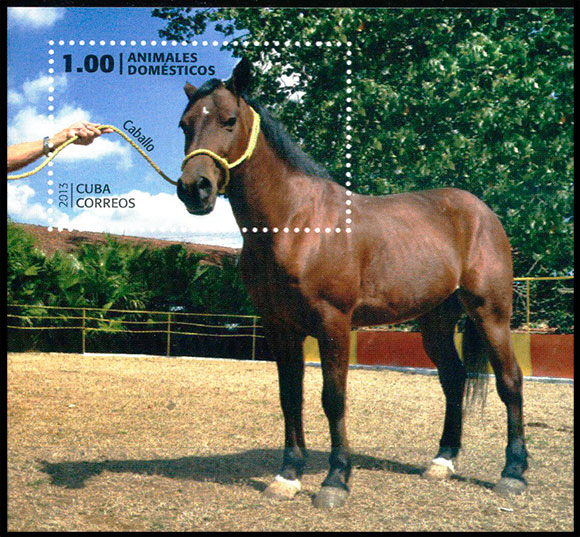 Домашние животные. Почтовые марки Куба 2013-03-12 12:00:00