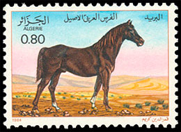 Лошади. Почтовые марки Алжира.