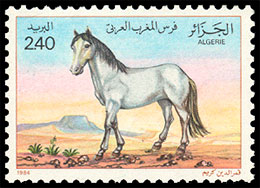 Horses. Postage stamps of Algeria.
