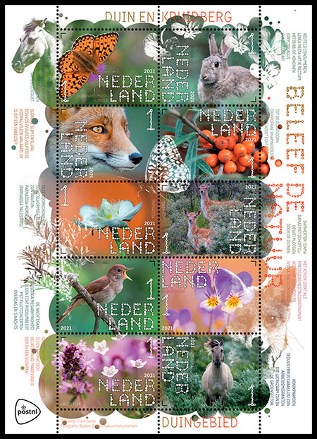 . Postage stamps of Netherland.