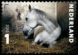 Charlotte Dumas. Animal portraits. Postage stamps of Netherland.