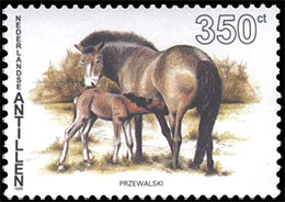 Horses. Postage stamps of Netherlands Antilles.