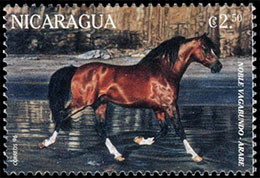 Лошади. Почтовые марки Никарагуа.