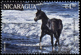 Horses. Postage stamps of Nicaragua.