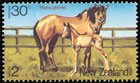 Health 1984. Horse Breeds. Postage stamps of New Zealand 1984-08-01 12:00:00