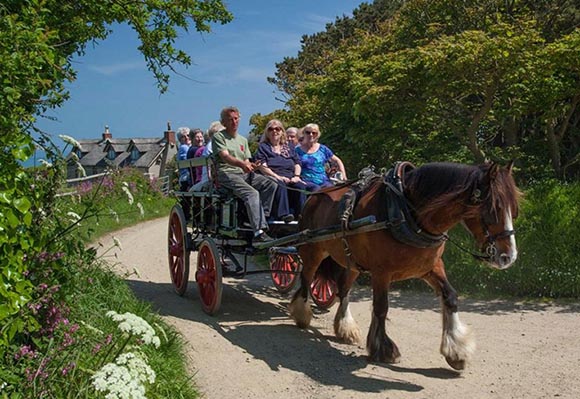 Guernsey-2025-art-foto