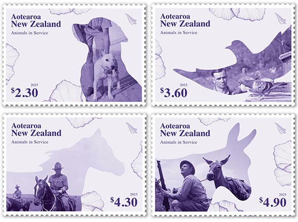 nz-2025-set-art